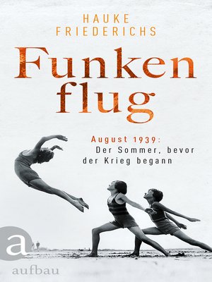 cover image of Funkenflug